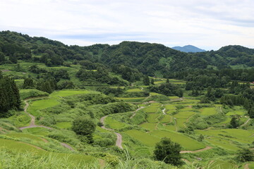 Fototapeta na wymiar 日本の原風景ｉｎ新潟県