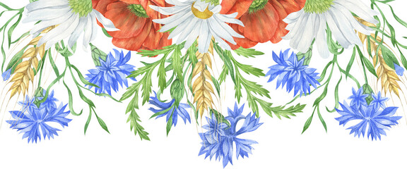 Watercolor wildflowers borders, daisy and poppy arrangements, compositions