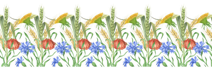Watercolor wildflowers borders, daisy and poppy arrangements, compositions