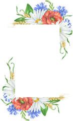 Watercolor wildflowers  frames. Wildflowers wreath. Daisy and poppy composition perfect for invitation. Summer  flower arrangement
