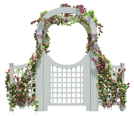 3d Render Ivy Plants Isolated  on white