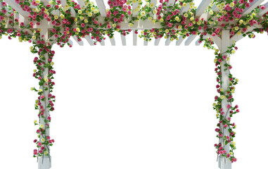 3d Render Ivy Plants Isolated  on white