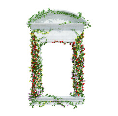 3d Render Ivy Plants Isolated  on white