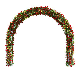 3d Render Ivy Plants Isolated  on white