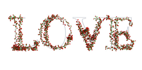 3d Render Ivy Plants Isolated  on white