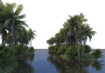 coconut garden on a transparent background
