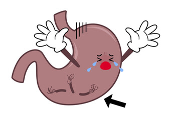 胃袋：ピロリ菌