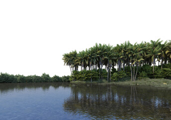 coconut garden on a transparent background
