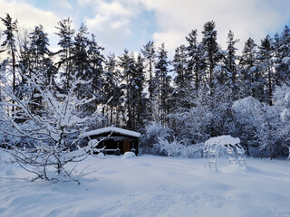 A dark one-story wooden house - a round log bathhouse in the snow among snow-covered trees on a cold clear day.