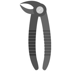 Dental Plier 