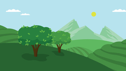 tea trees on the background of tea plantations