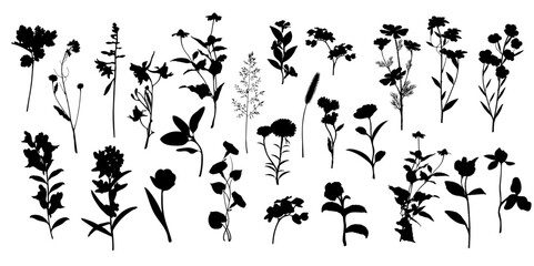 Obraz na płótnie Canvas black and white flowers