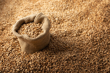 Background of raw wheat grains with burlap sack on it