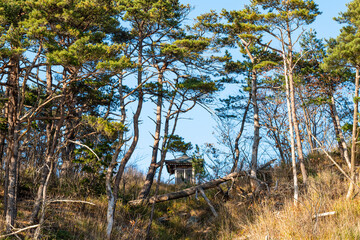 木, 自然, 風景, 空