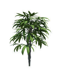 3d Render Brush Tree Isolated  on white