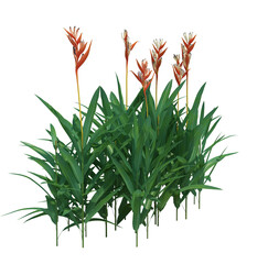 3d Render Brush Tree Isolated  on white