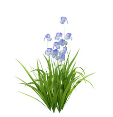 3d Render Brush Tree Isolated  on white