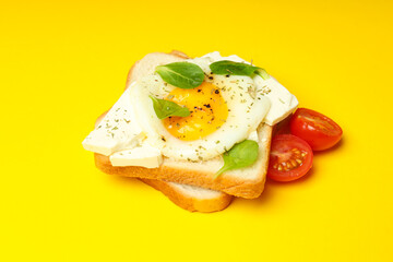 Concept of breakfast with tasty homemade sandwich