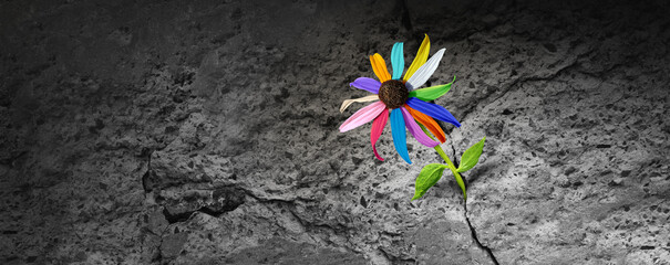 Power of diversity concept as a flower with diverse colors emerging out of a cement crack representing resilience  facing challenges as a metaphor for overcoming social obstacles.