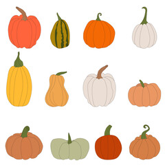 pumpkins, halloween, fall harvest gourds. Autumn thanksgiving and halloween pumpkins collection