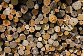 Möbelaufkleber  stack of firewood prepared for winter © wjarek