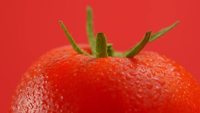 tomato rotates close-up. 360 rotation. fresh, washed tomato in water drops. attention to glare. on an red background with reflections.