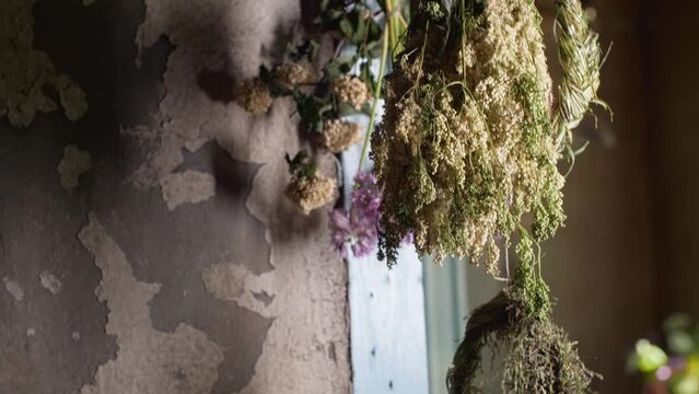 Drying medicinal herbs, a wreath of herbs