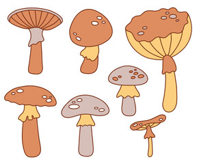 Different inedible mushrooms. Vector illustration.