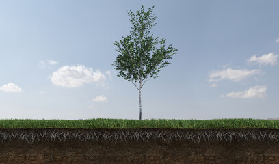 Obraz premium Deciduous tree and soil cut under it. Isolated garden element, 3D illustration, cg render