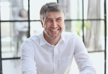 Fototapeta premium Businessman working in a new modern office