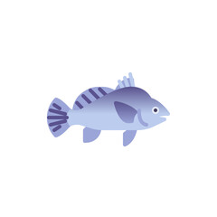 Drum fish flat icon