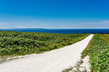 晴れの日の白い道