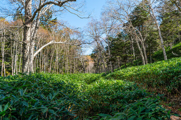風景, 自然, 空, 山