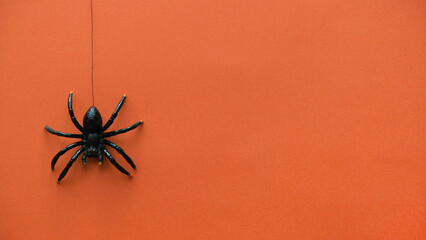 The black spider descends and ascends on a rope. Orange background for Halloween with place for text