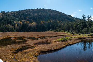 風景, 自然, 秋, 空, 木, 山