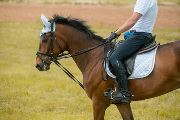 Equestrian sport. The leg of the rider in the stirrup, riding on a red horse. Dressage of horses
