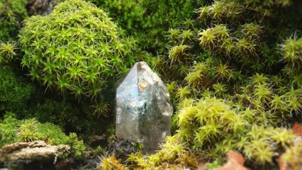 Quartz, magic crystal, in the forest, against the background of moss
