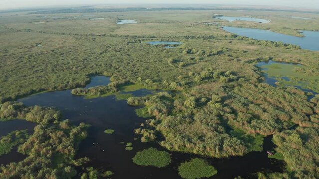 4K aerial view with the beautiful landscape from Danube Delta during a summer morning. Landmark of Romania, amazing water delta shapes and textures of nature.