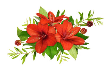 Three red amaryllis flowers, decorative berries and green leaves in a floral arrangement isolated