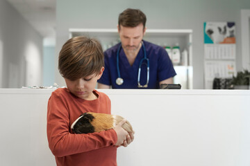 Little boy holding guinea pig in veterinarian clinic