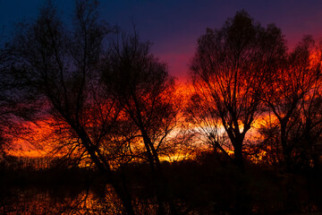 Fiery sunset in autumn, with bare tree silhouettes in the foreground
