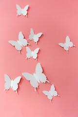 Design for wall, white butterflies on pink background, abstract, creative
