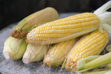 Fresh corn, sweet corn
