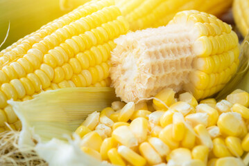 Sweet corn with seed corn