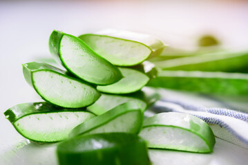 Fresh Aloe vera, Slice Aloe Vera (Aloe barbadensis Mill.,Star cactus, Aloe, Aloin, Jafferabad or Barbados) a very useful herbal medicine for skin care.