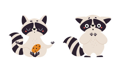 Funny raccoon set. Cute adorable wild animal character cartoon vector illustration