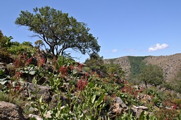 View of the Zarafshan Range. Kashkadarya Region, south of Samarkand city. Uzbekistan.
