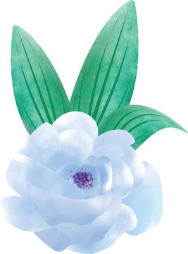 recommend clip art: Digital Watercolor Flower & Leaves Illustration. You can use this design to print on greeting cards, frames, 
                    mugs, shopping bags etc. whatever you want.
                    