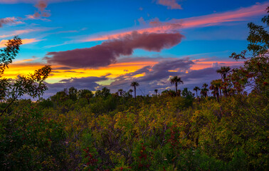 Fototapeta na wymiar Colorful sunset over Everglades National Park in Florida