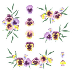 Pansies in watercolor. Set of elements with flowers. Floral watercolor compositions.